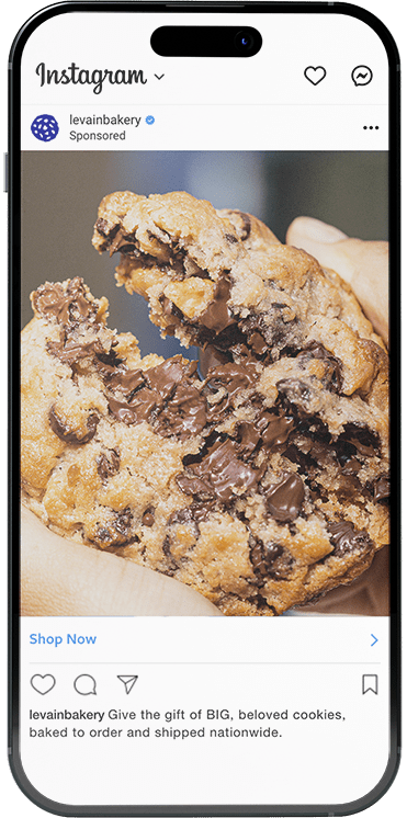 Levain Bakery Delicious Cookie Instagram Ad
