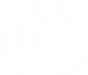 How Zettler Digital Rebuilt Maple Hill Golf's Klaviyo Flow Program brand logo